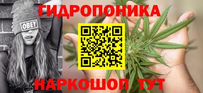 PSILOCYBIN Новозыбков