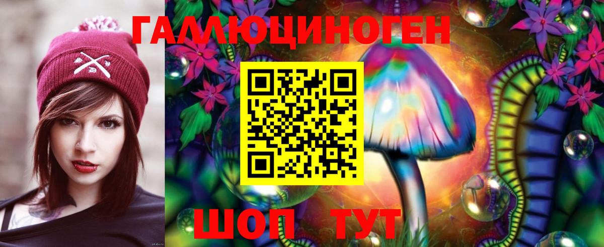 Псилоцибиновые грибы ЛСД  Псилоцибиновые грибы Magic Shrooms  Советская Гавань  даркнет сайт  Вход с VPN 
